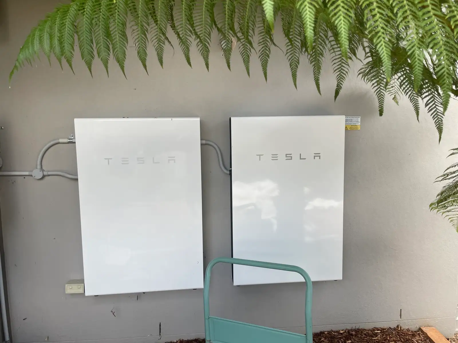 Two Tesla batteries side by side on a rendered wall, a tree fern hanging over them.