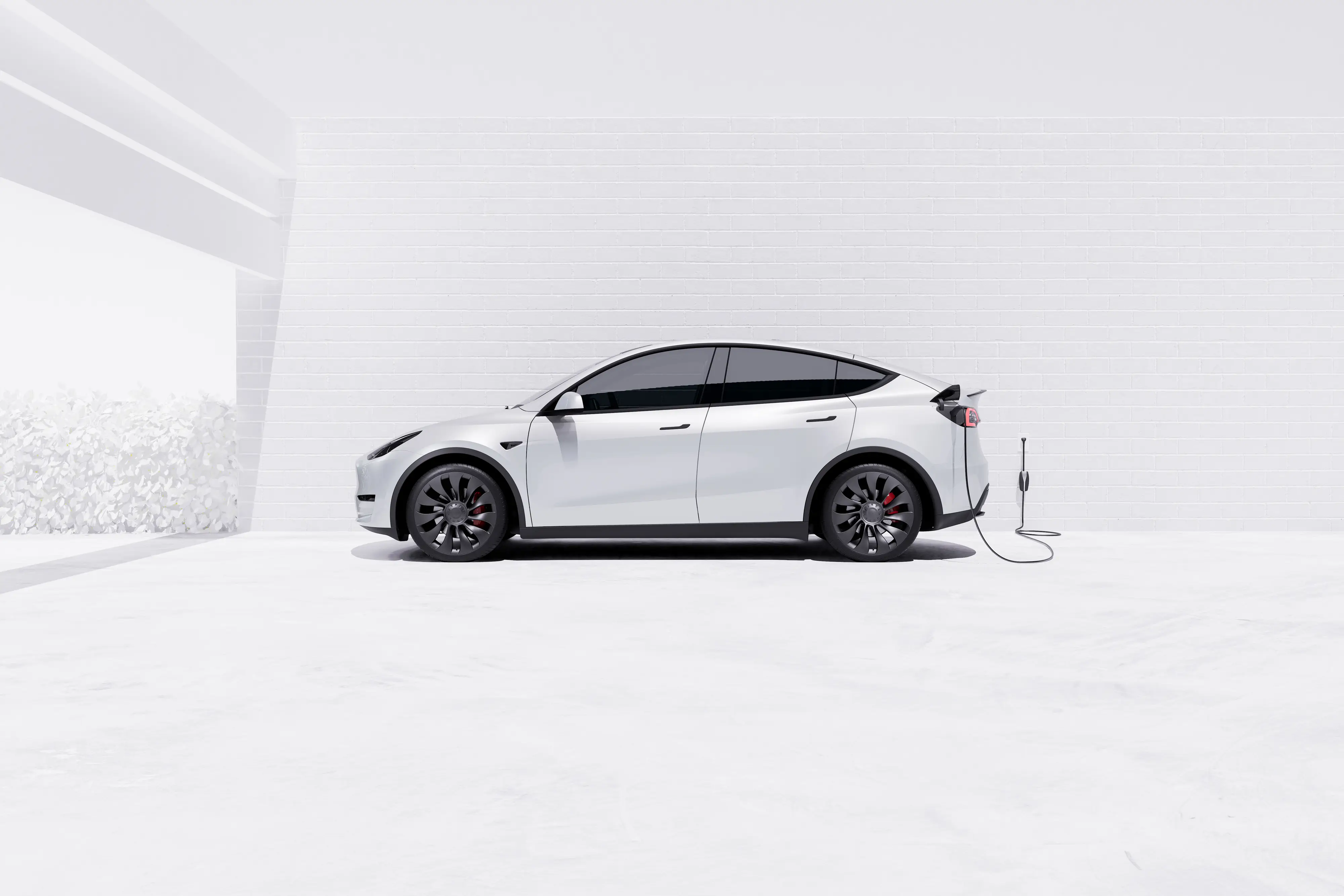 A white Tesla Model Y parked side-on in a bare white-brick studio space, its charging cable running from the rear charge port down onto the pale concrete floor, with a clipped hedge just visible past the wall on the left